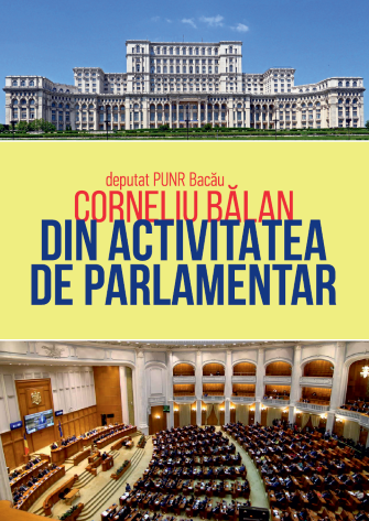 Din activitatea de parlamentar
